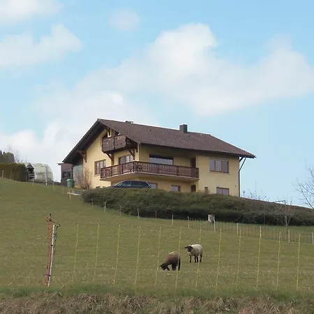Ferienwohnung Desiree FDH Buitenkant foto