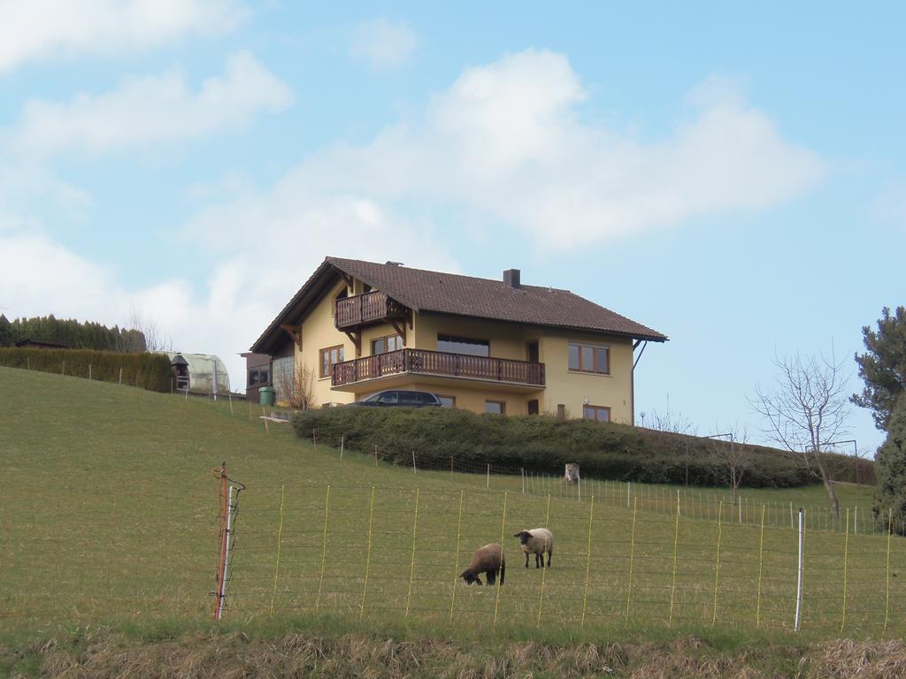 Desirée Apartment FDH